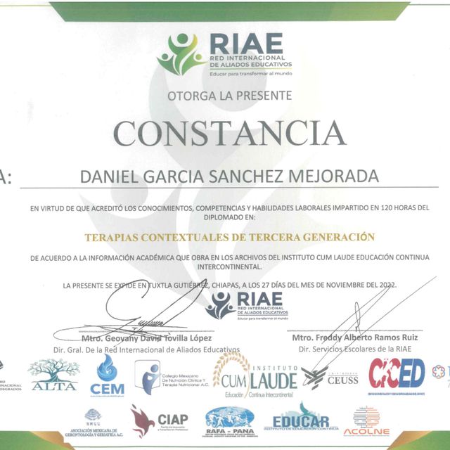 Ampliar imagen: certificate 3