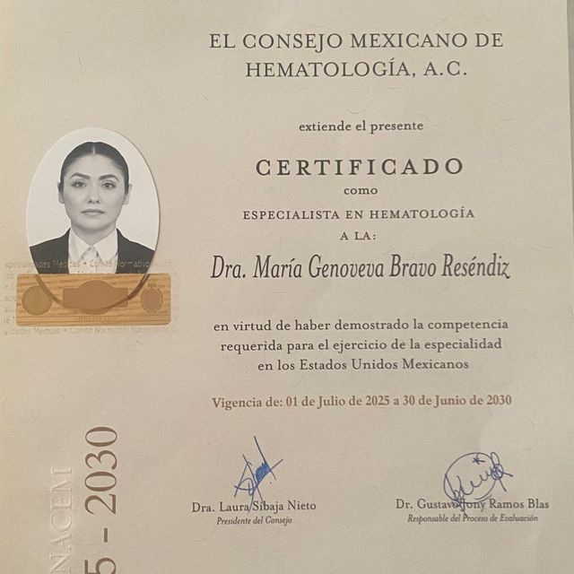 Ampliar imagen: certificate 2