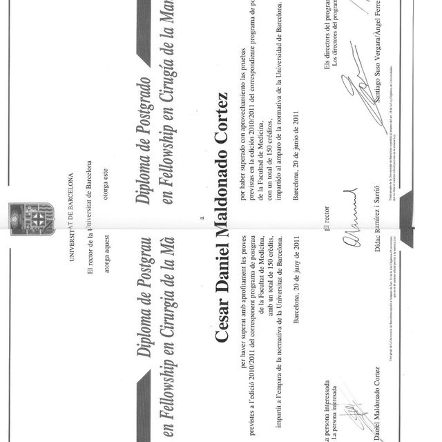 Ampliar imagen: certificate 4