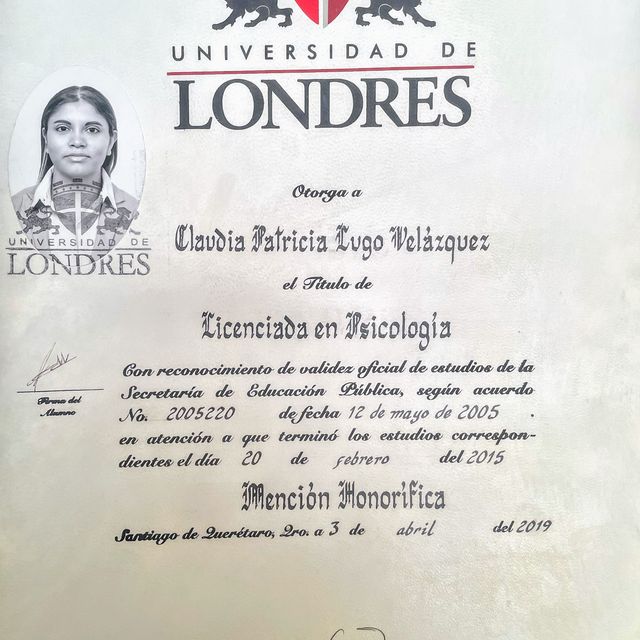 Ampliar imagen: certificate 1