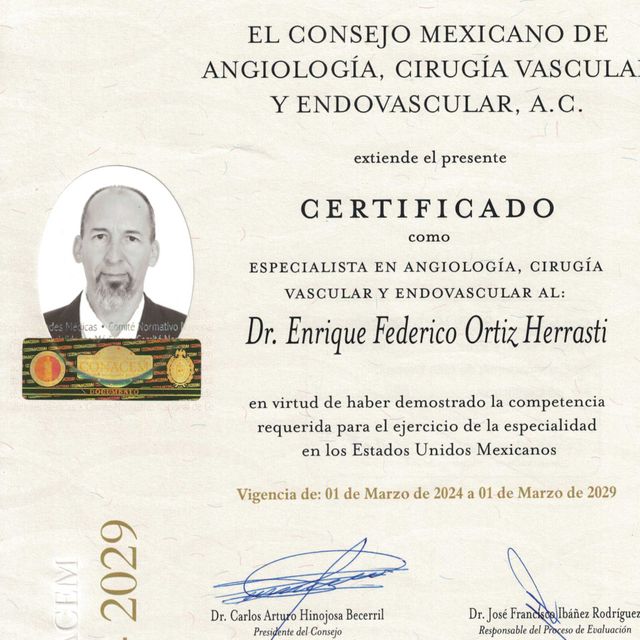 Ampliar imagen: certificate 1