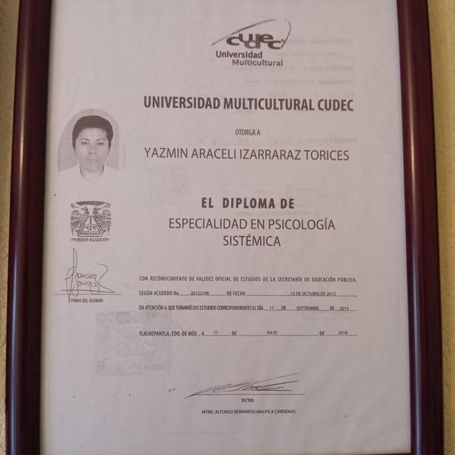 Ampliar imagen: certificate 4