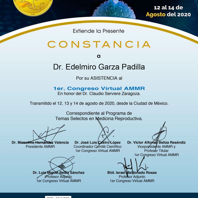 Ampliar imagen: certificate 10