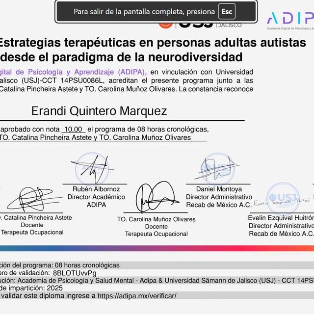 Ampliar imagen: certificate 13