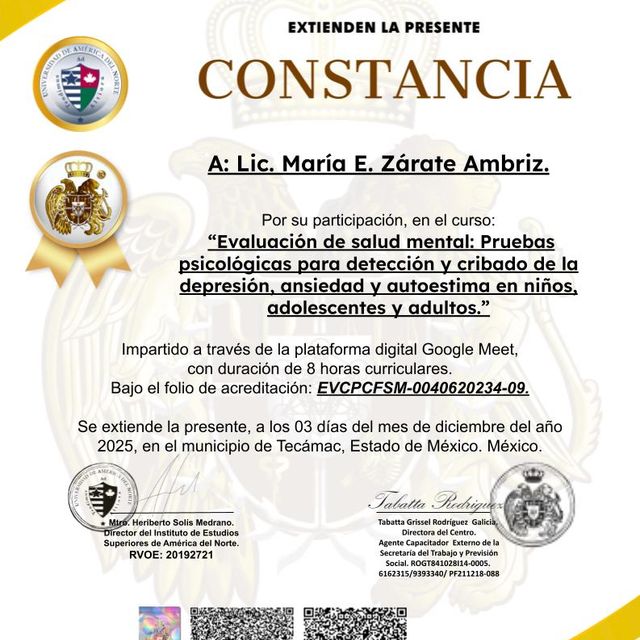 Ampliar imagen: certificate 1