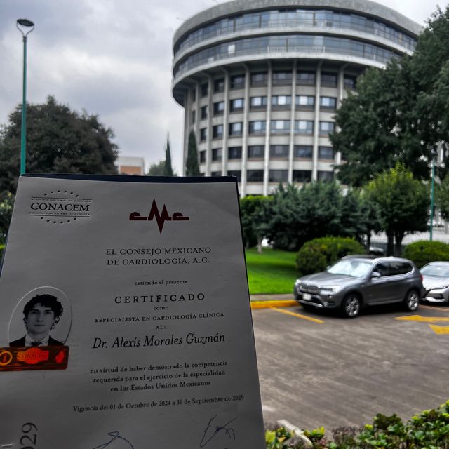 Ampliar imagen: certificate 1