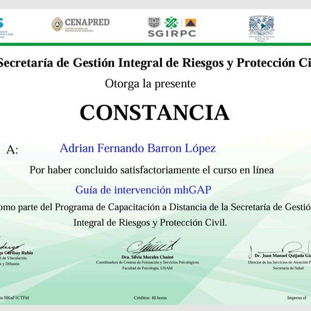 Ampliar imagen: certificate 1