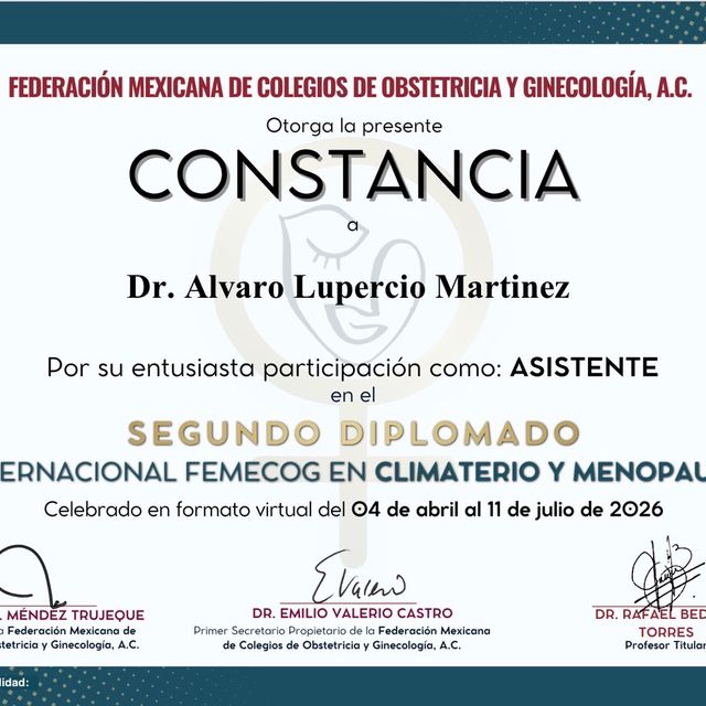 Ampliar imagen: certificate 27
