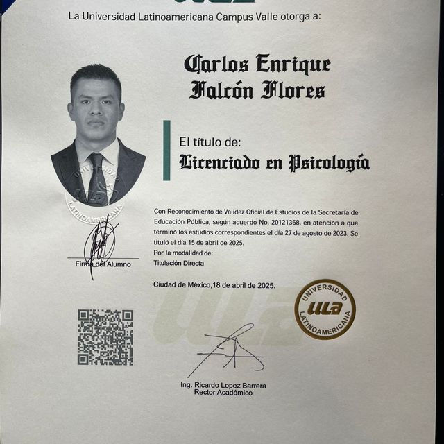 Ampliar imagen: certificate 1