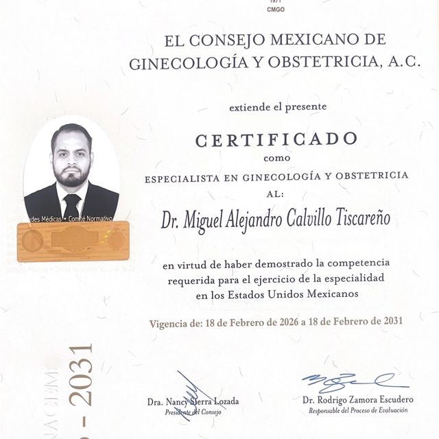 Ampliar imagen: certificate 1