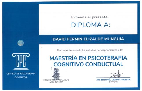 Ampliar imagen: certificate 3