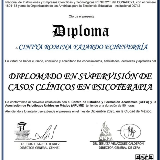 Ampliar imagen: certificate 1
