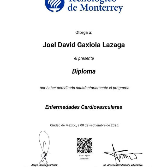 Ampliar imagen: certificate 4