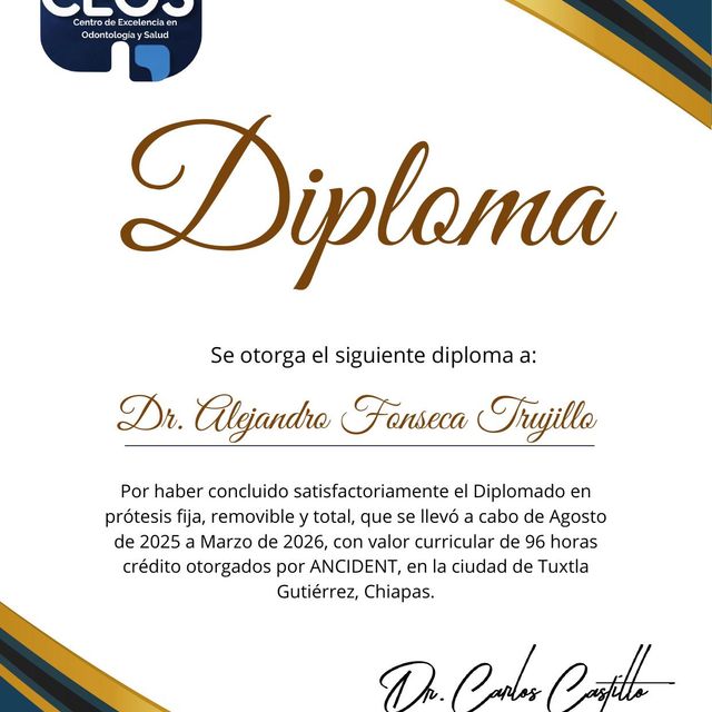 Ampliar imagen: certificate 3