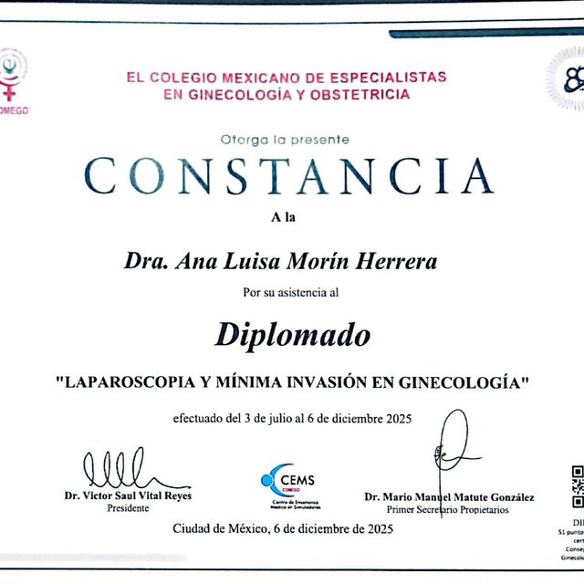 Ampliar imagen: certificate 5