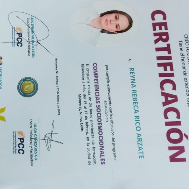 Ampliar imagen: certificate 1