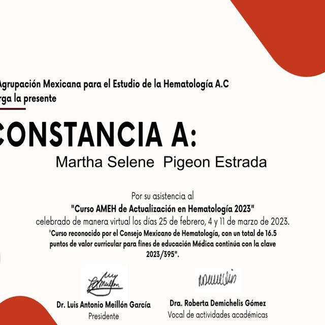 Ampliar imagen: certificate 2