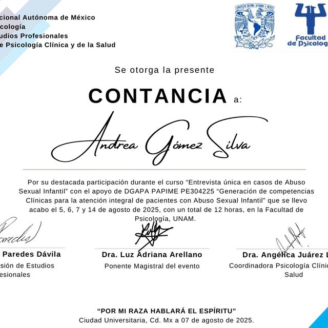 Ampliar imagen: certificate 3
