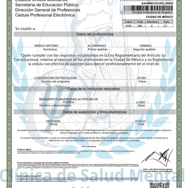 Ampliar imagen: certificate 1