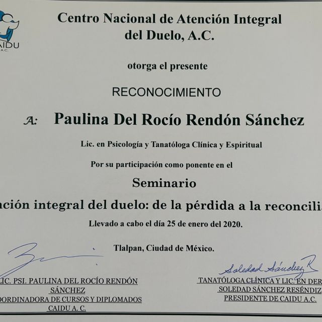 Ampliar imagen: certificate 13