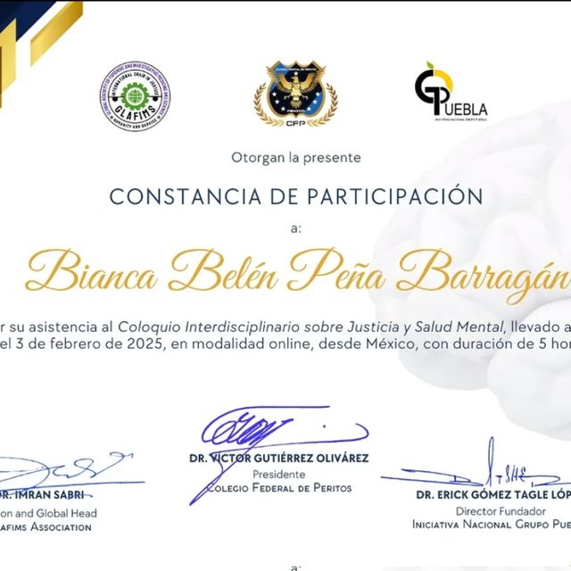 Ampliar imagen: certificate 21