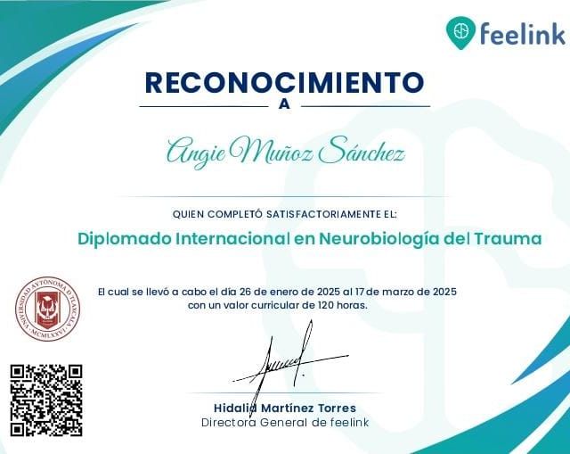Ampliar imagen: certificate 3