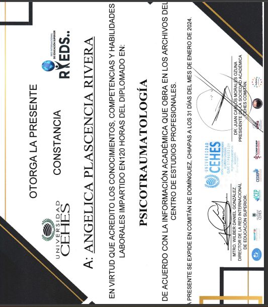 Ampliar imagen: certificate 1