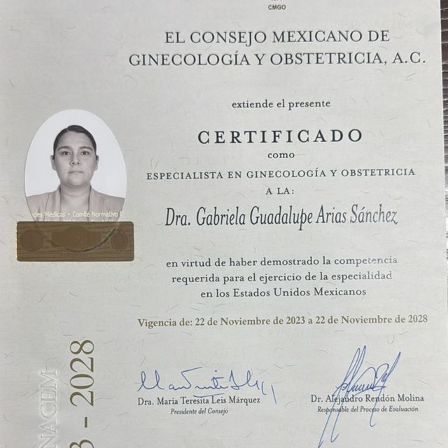 Ampliar imagen: certificate 1