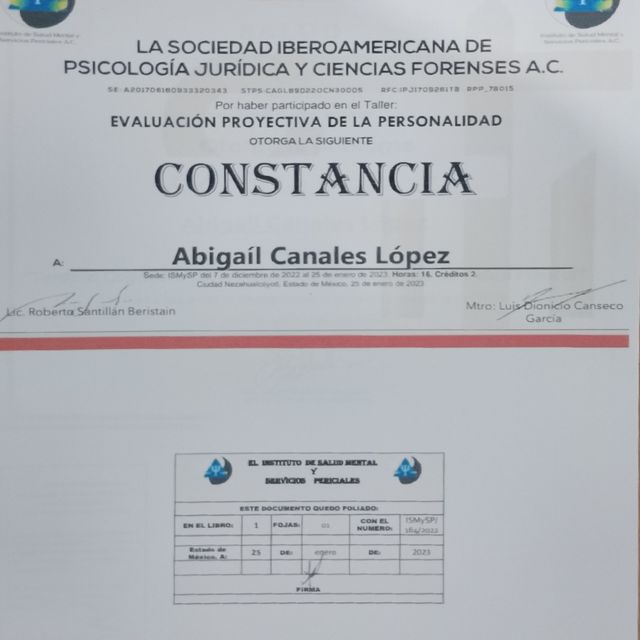 Ampliar imagen: certificate 6