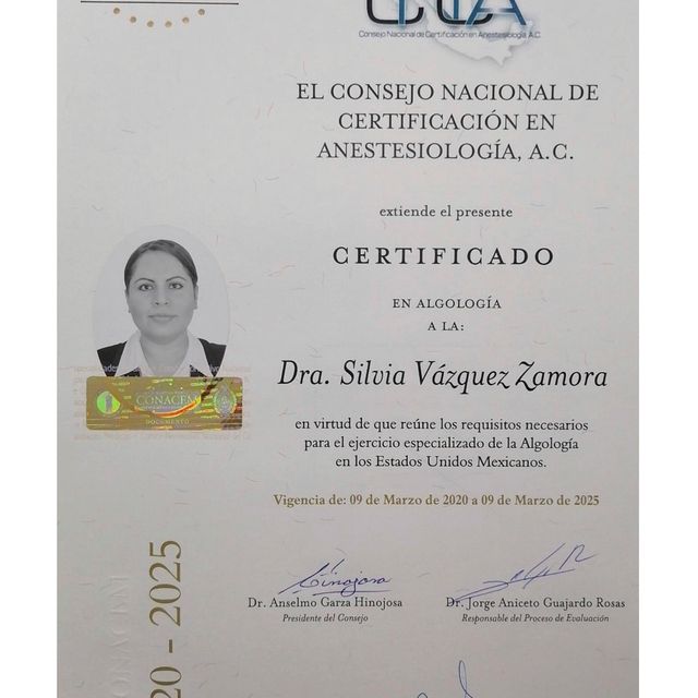 Ampliar imagen: certificate 7