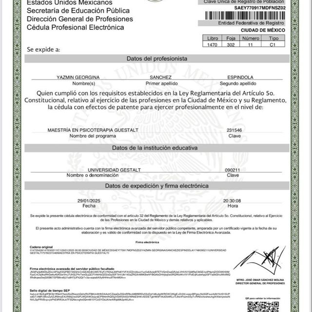 Ampliar imagen: certificate 8
