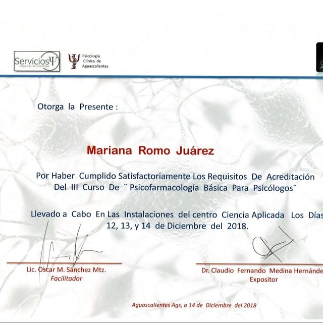 Ampliar imagen: certificate 6