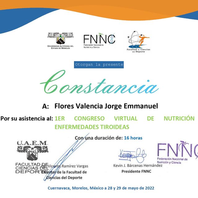 Ampliar imagen: certificate 3