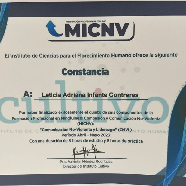 Ampliar imagen: certificate 16