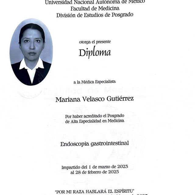 Ampliar imagen: certificate 2