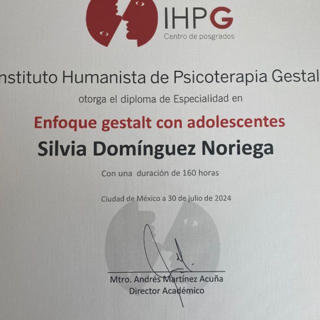 Ampliar imagen: certificate 2