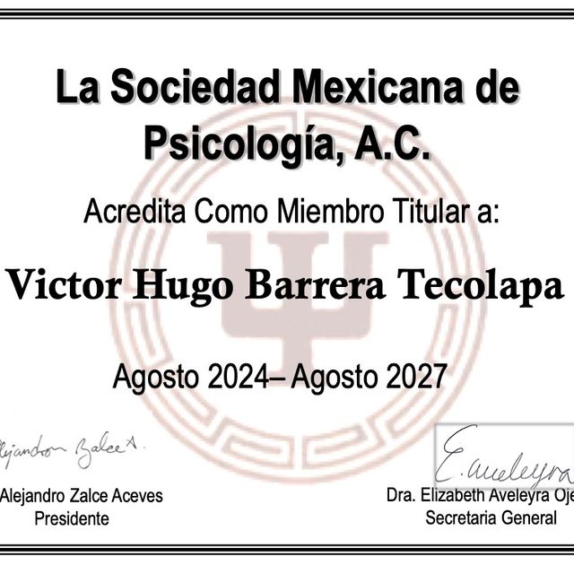 Ampliar imagen: certificate 33