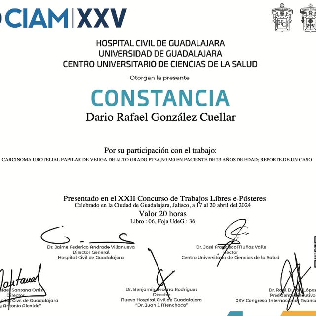 Ampliar imagen: certificate 3