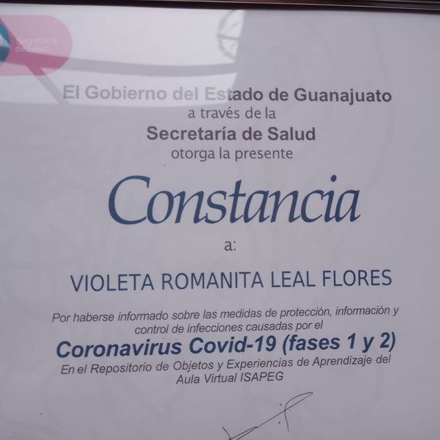 Ampliar imagen: certificate 3