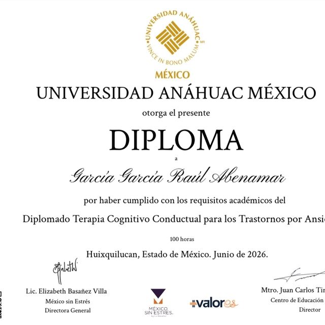 Ampliar imagen: certificate 11