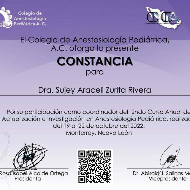 Ampliar imagen: certificate 6