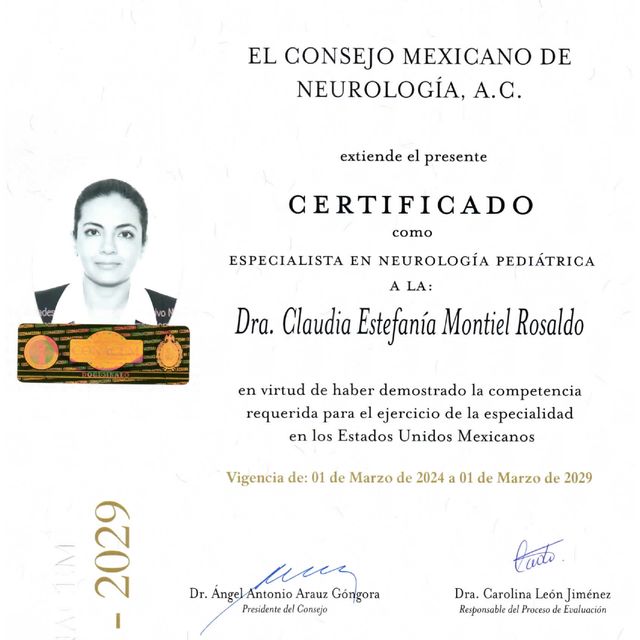 Ampliar imagen: certificate 2