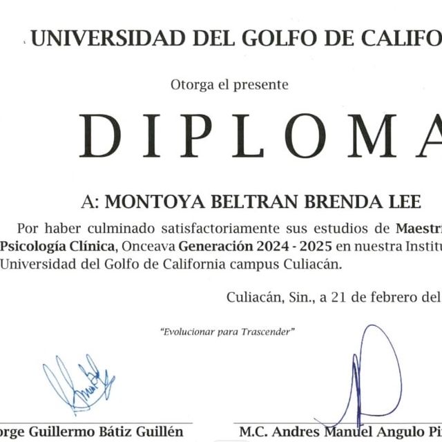 Ampliar imagen: certificate 4