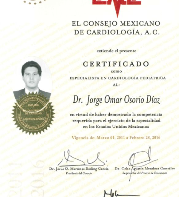 Ampliar imagen: certificate 3