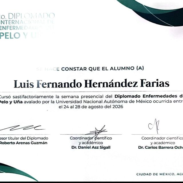 Ampliar imagen: certificate 9