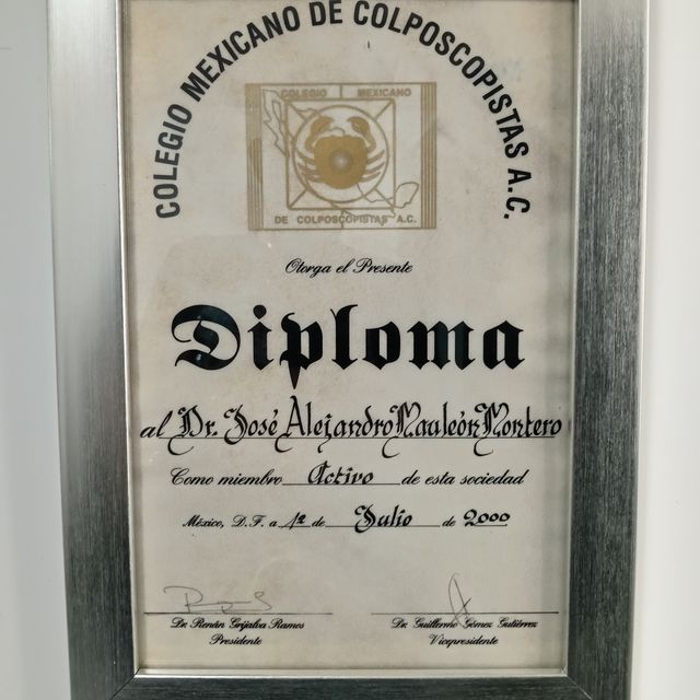 Ampliar imagen: certificate 5