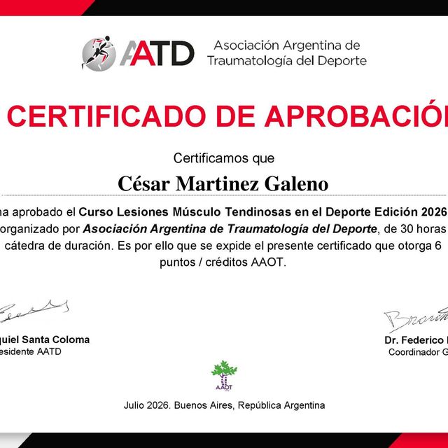Ampliar imagen: certificate 19