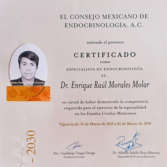 Ampliar imagen: certificate 1