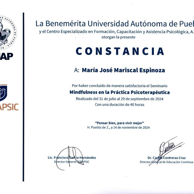 Ampliar imagen: certificate 7