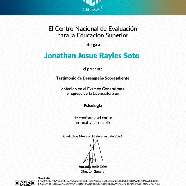 Ampliar imagen: certificate 2